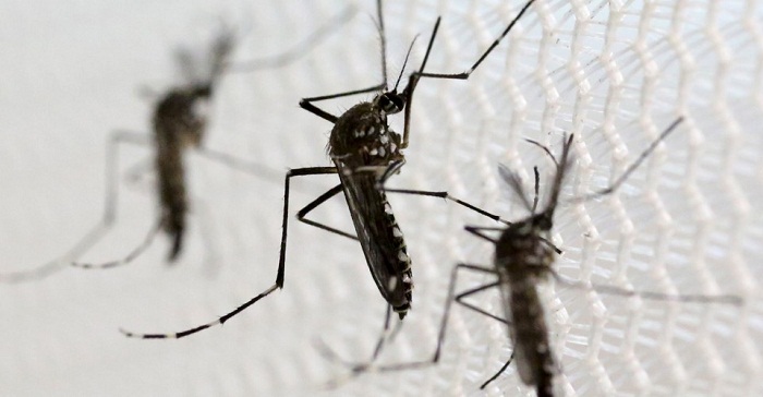 Unusual US Zika virus case baffles experts